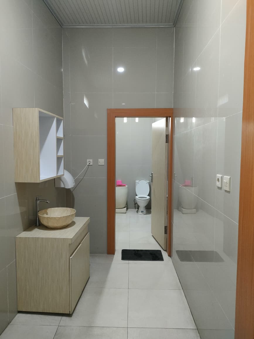 toilet1